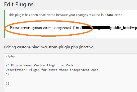 error in custom plugin