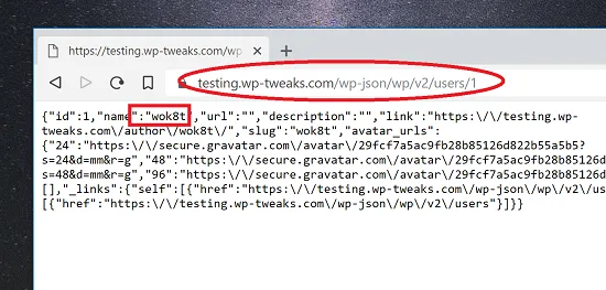 Get the Username via wp-json