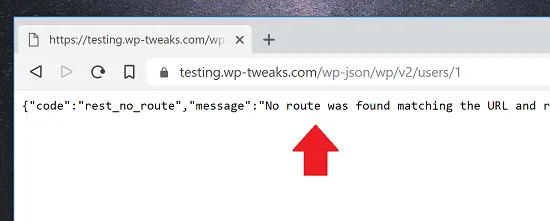 WordPress Rest Endpoint JSON Disabled