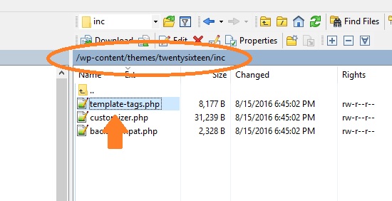 Function in Template tags.php