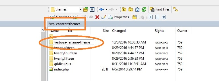 Rename the Theme Folder