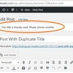 Duplicate Post Title Error Message