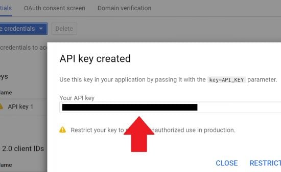 Copy the API Key to Clipboard