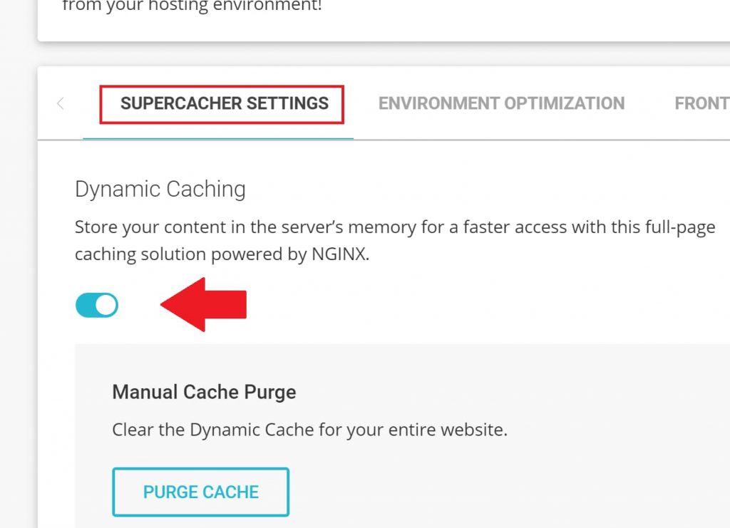 Enable Dynamic Caching