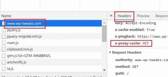 Verifying the x-proxy-cache Header for SiteGround Dynamic Caching