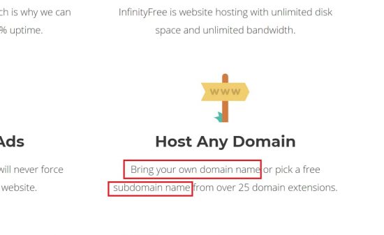 InfinityFree.net Also Doesn't Give Free Domains
