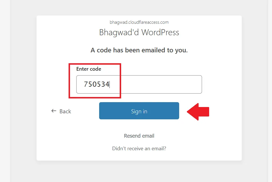 Enter Cloudflare Zero Trust Code and Sign in